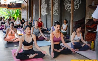 Yoga Alliance Certified 200 Hour Online Yoga Teacher Training Course In Rishikesh