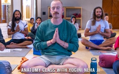 7 Days Online Yoga Anatomy Workshop