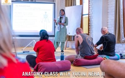 7 Days Yoga Anatomy Workshop (Advanced)