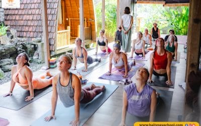 Part 2 / 100 Hour Online Yoga Teacher Training Course in Rishikesh India